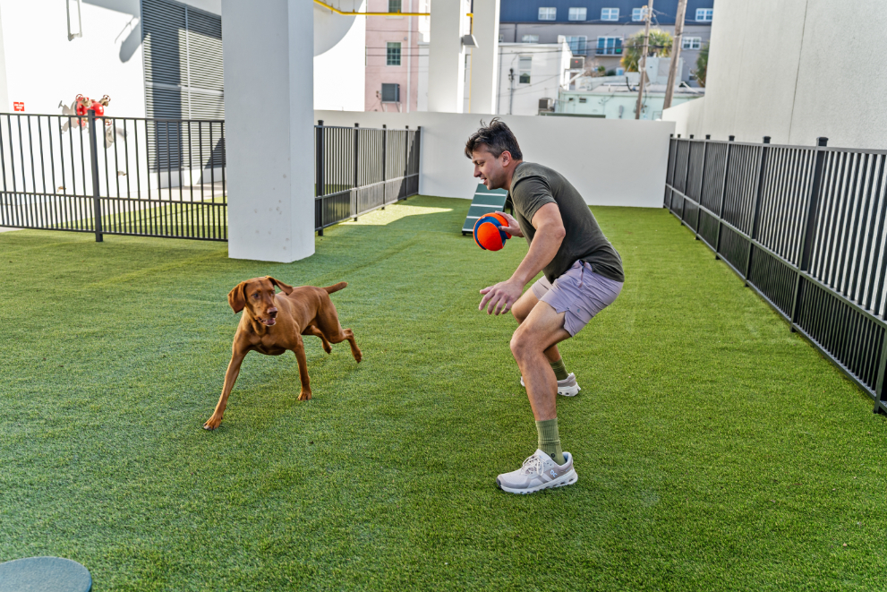VIV_LuxuryApartmentCommunity_DogPark_ST.PeteFL