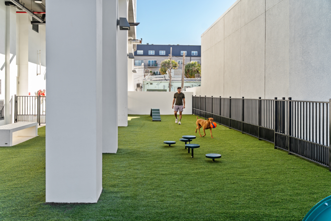 VIV_LuxuryApartmentCommunity_DogPark_ST.PeteFL