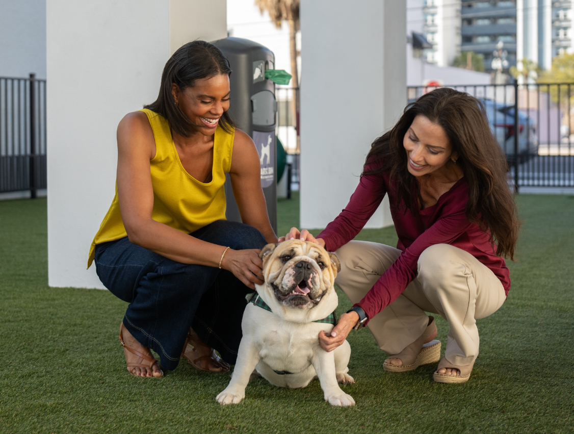 VIV_LuxuryApartmentCommunity_DogPark_ST.PeteFL
